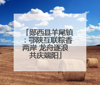 郧西县羊尾镇：鄂陕互联粽香两岸 龙舟逐浪共庆端阳